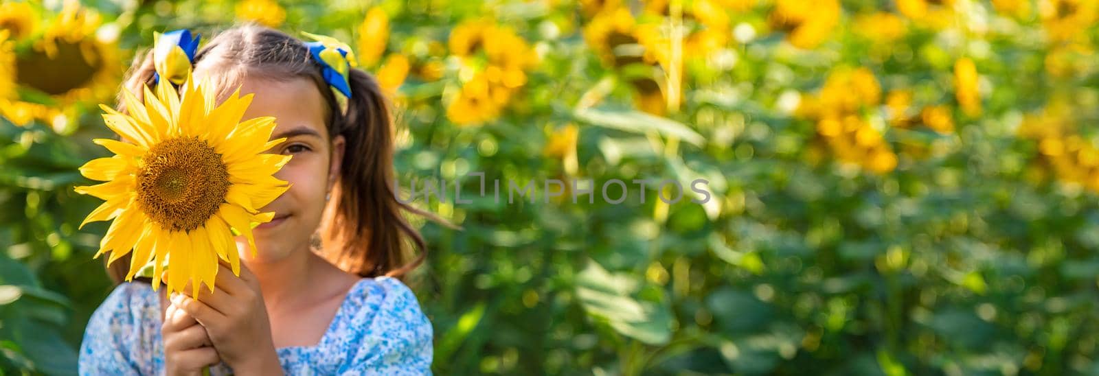 A child in a field of sunflowers. Ukraine. Selective focus. Nature.