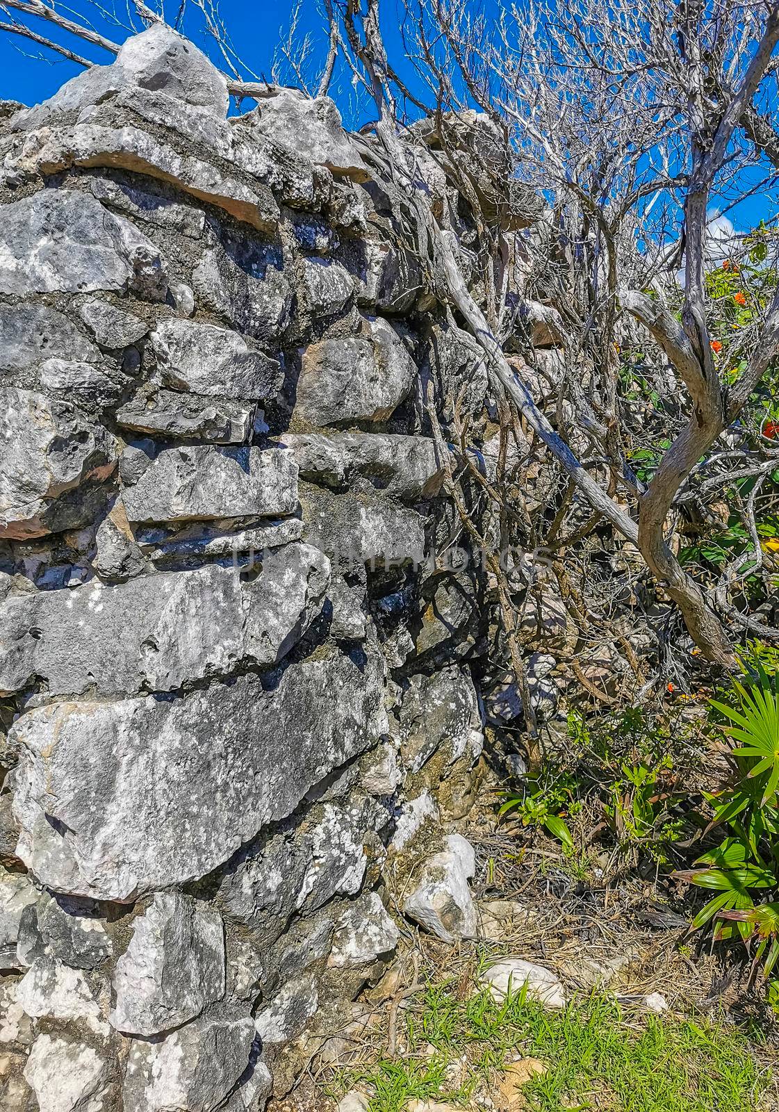 Ancient Tulum ruins Mayan site with temple ruins pyramids and artifacts in the tropical natural jungle forest palm and seascape panorama view in Tulum Mexico.