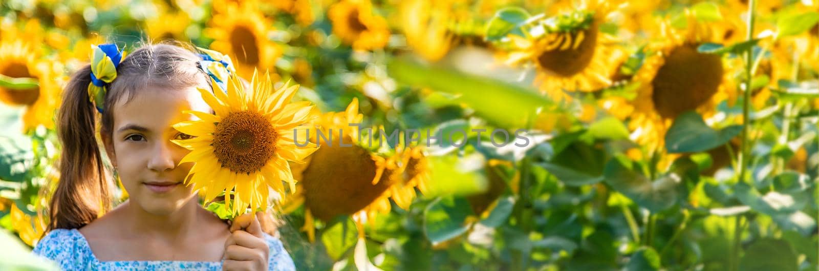 A child in a field of sunflowers. Ukraine. Selective focus. by yanadjana