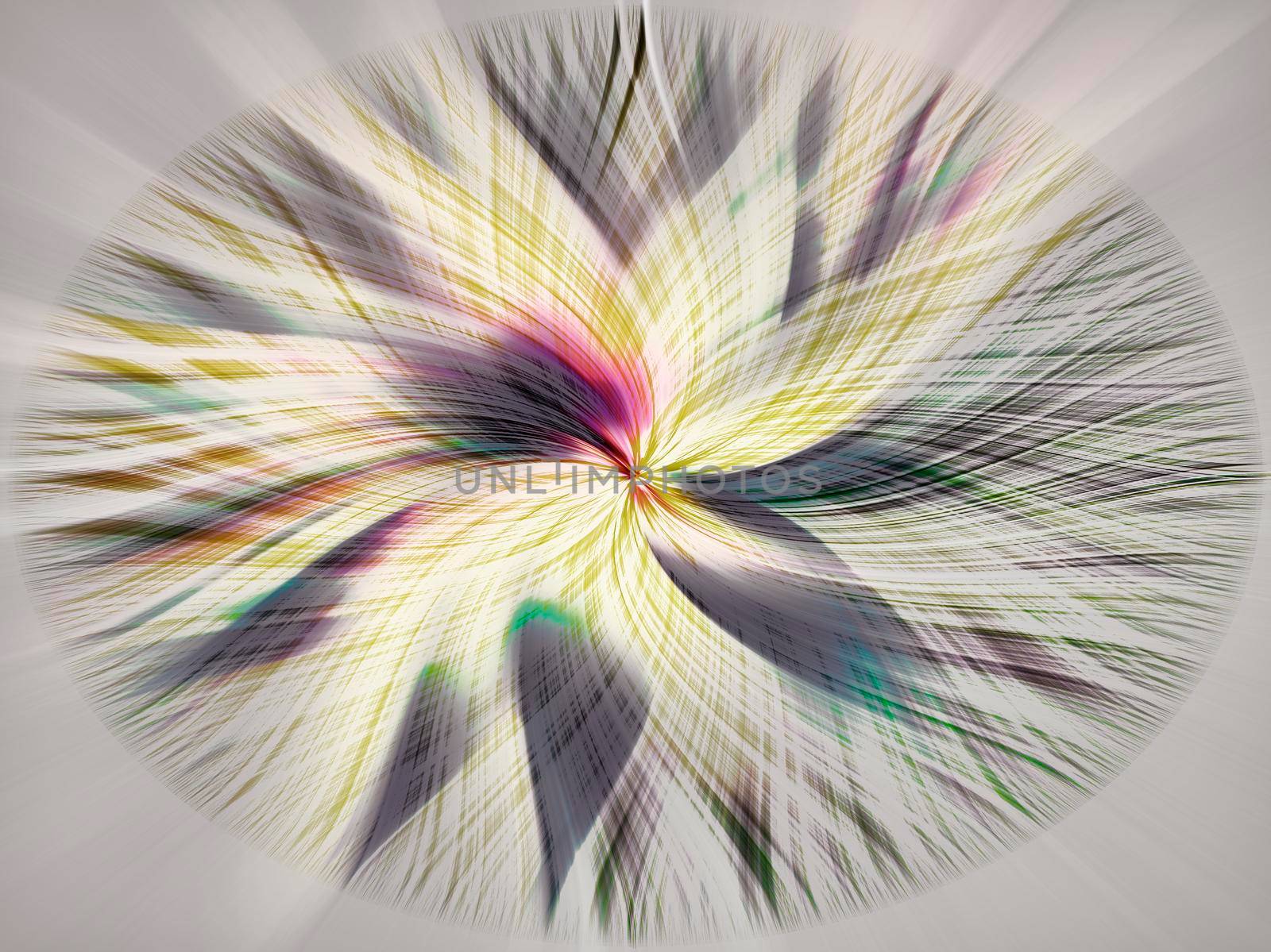 Abstract blurry image of a beautiful large rudbeckia flower on a dark background.