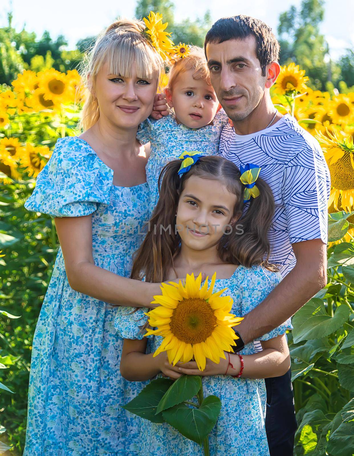 Family photo in a field of sunflowers. Ukraine. Selective focus. Nature.