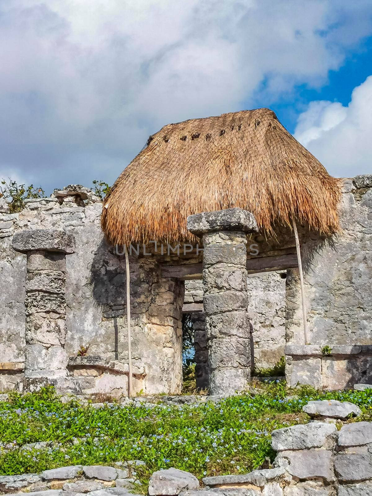 Ancient Tulum ruins Mayan site with temple ruins pyramids and artifacts in the tropical natural jungle forest palm and seascape panorama view in Tulum Mexico.