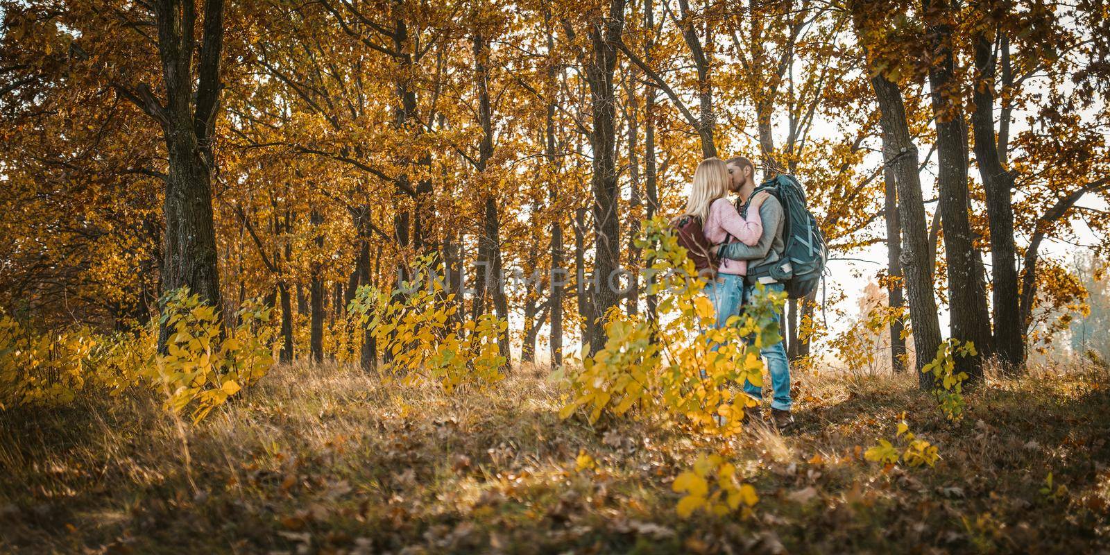 Kiss Of Lovely Tourists In Autumn Sunny Forest Outdoors, Happy Man And Woman With Backpacks Kiss While Standing Against Backdrop Of Multi Colored Autumn Forest In Sunshine, Beauty In Nature Concept