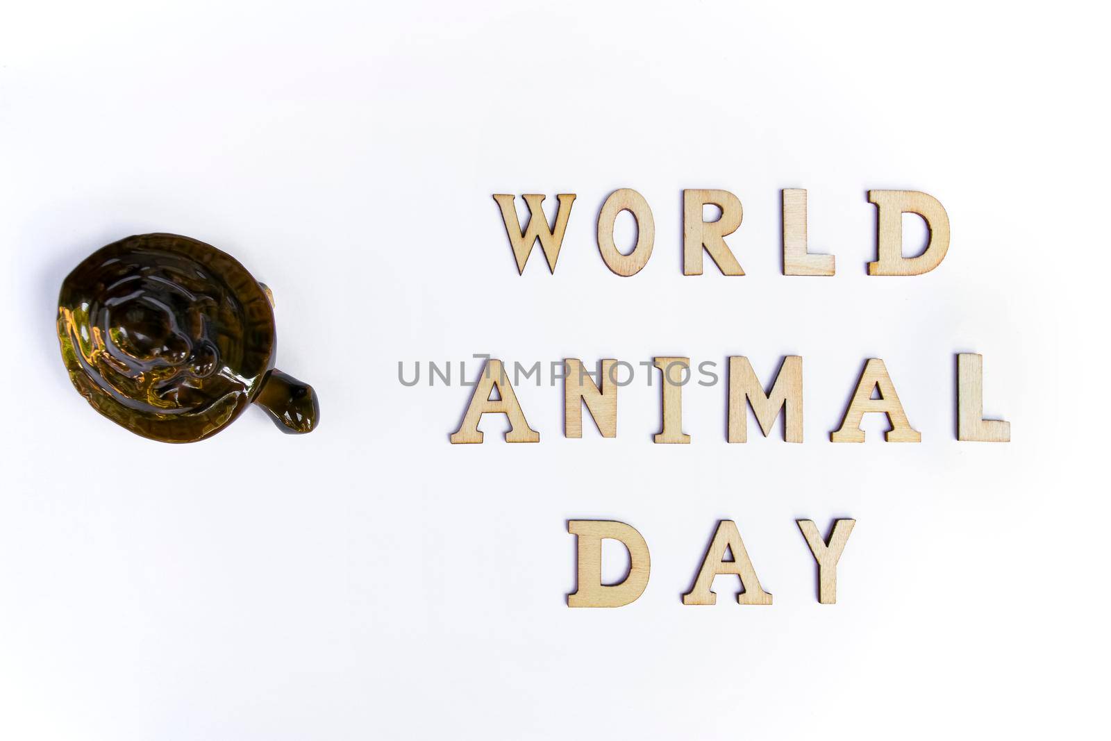 World animal day concept with turtle. by GraffiTimi