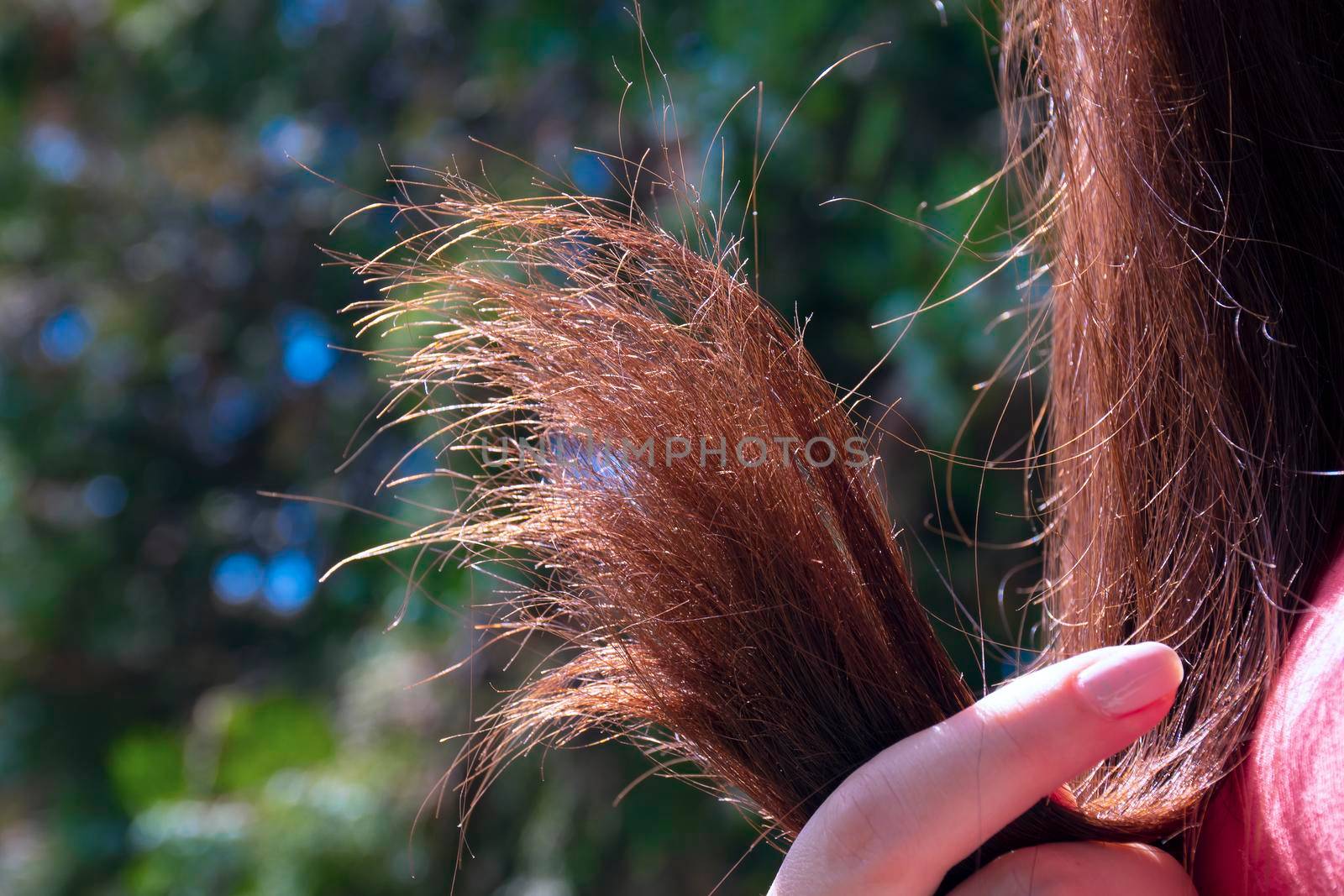 Broken hair in a natural green environment. Young woman holds a lock of hair in her hand.