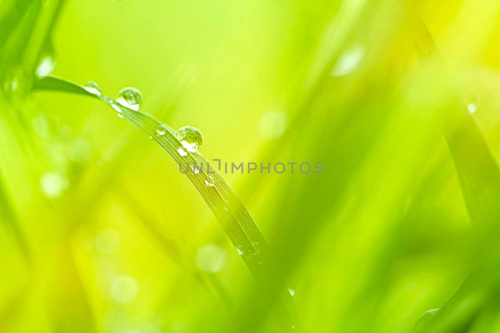 Abstract natural backgrounds with beauty bokeh