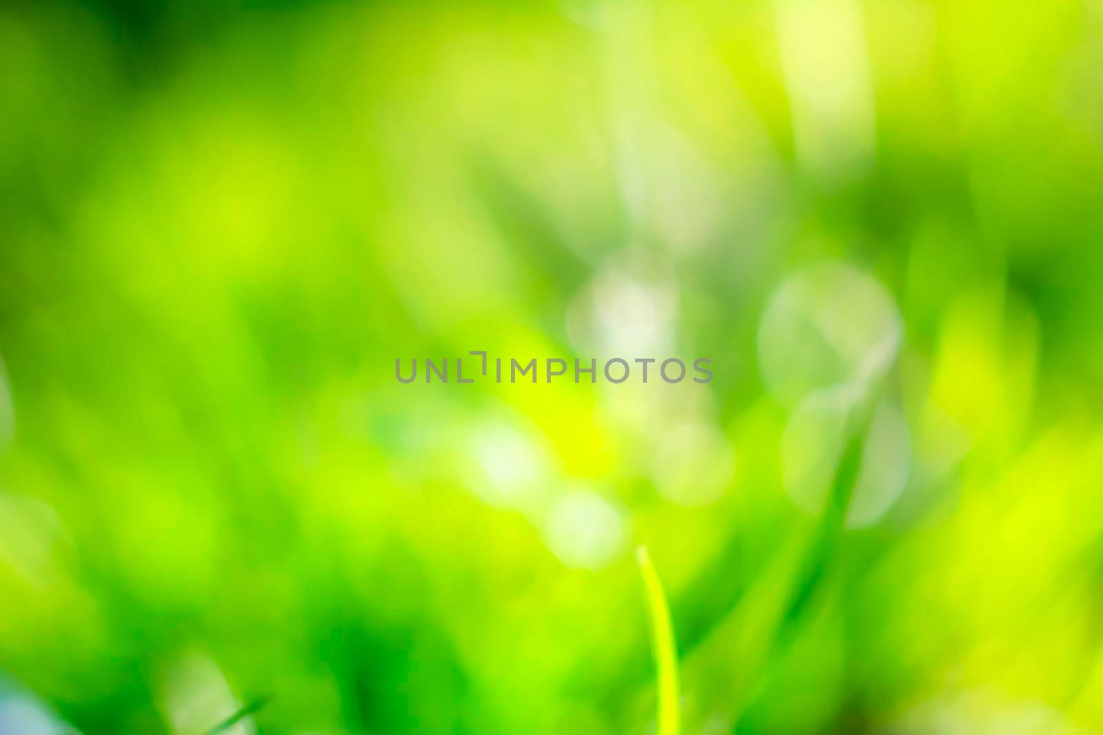 Abstract natural backgrounds with beauty bokeh