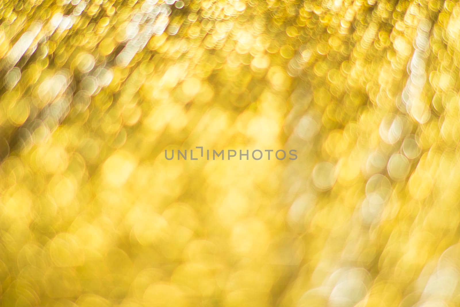 Gold bokeh. Abstract background. Defocused lights.