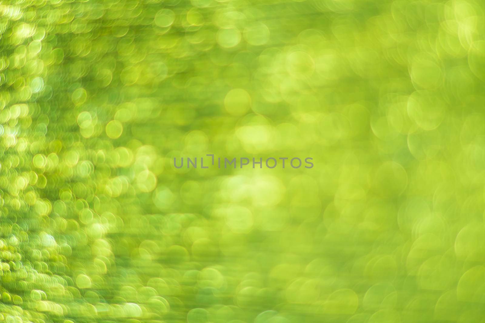 Green bokeh. Abstract background. Defocused lights.