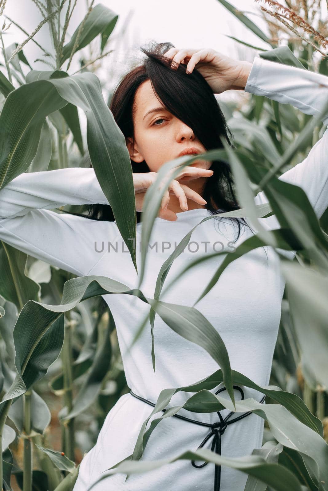 A brunette girl in a white dress in a cornfield. The concept of harvesting.