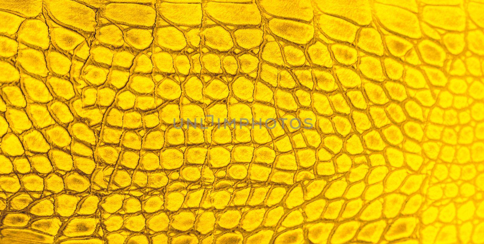 Snake skin background. Close up
