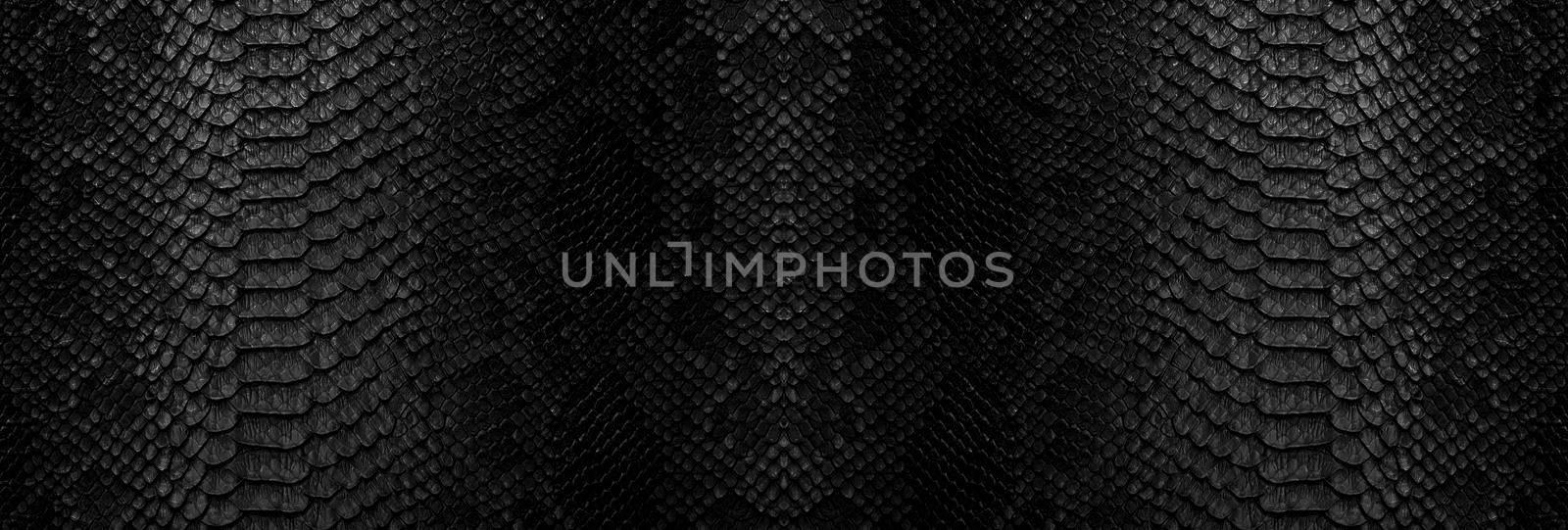 Snake skin background. Close up reptile texture.
