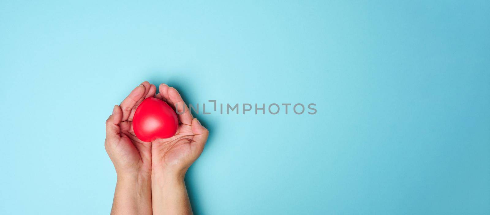  Female hands holds red heart, blue background. Love and donation concept, copy space