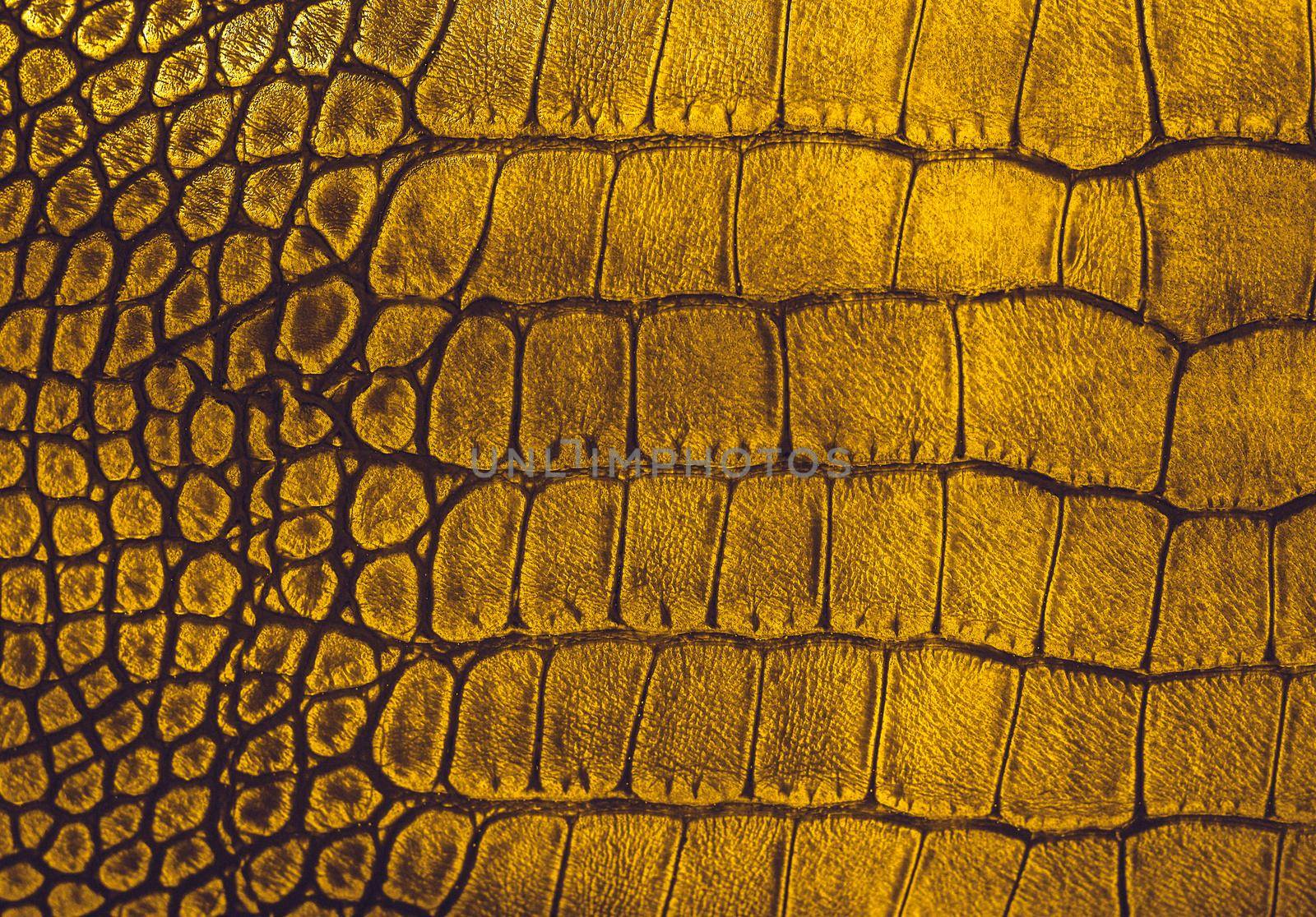 Snake skin background. Close up