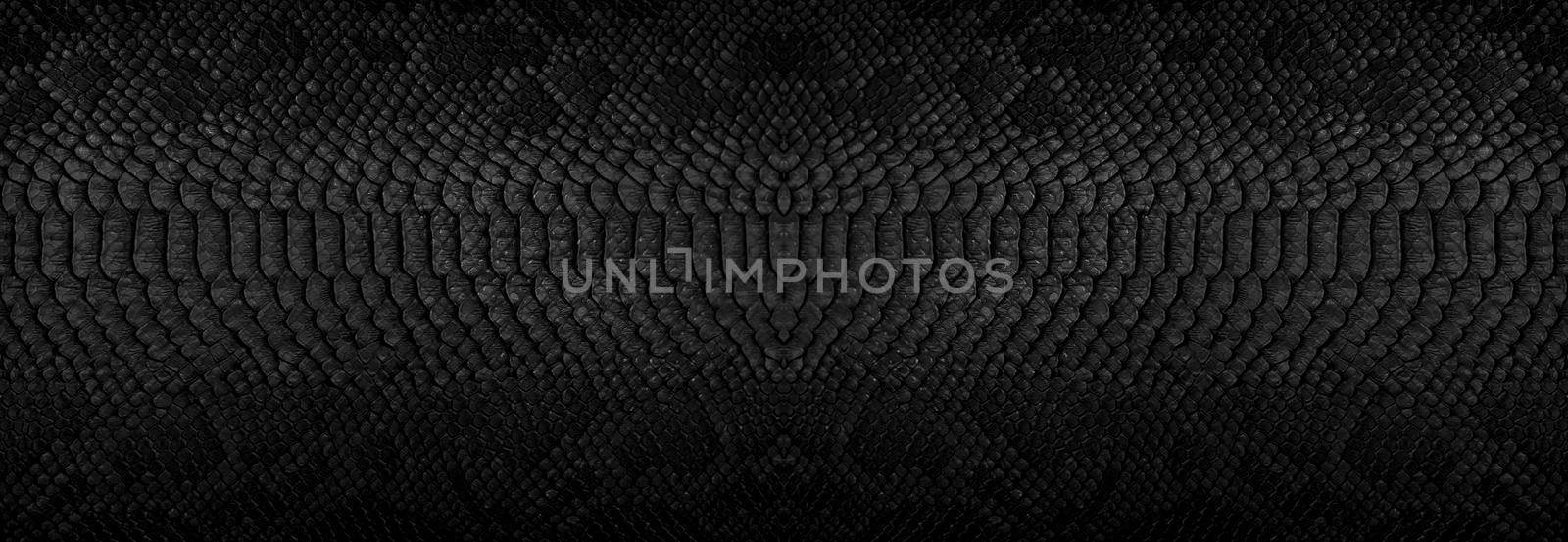 Snake skin background. Close up reptile texture.