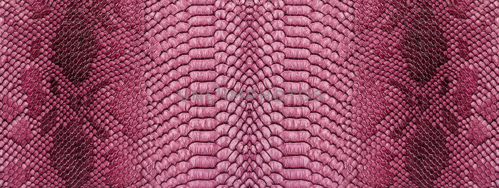 Snake skin background. Close up reptile texture.