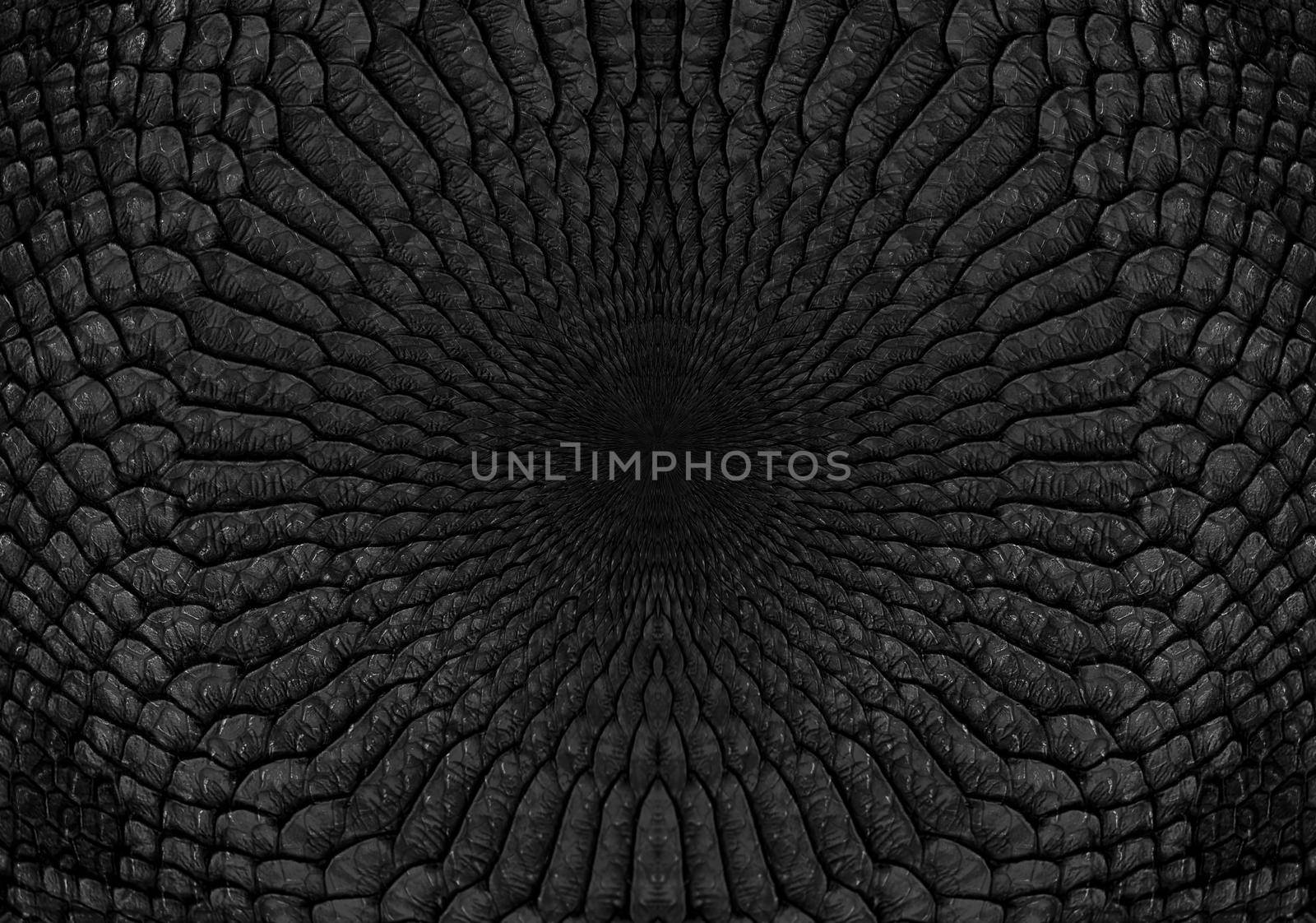 Snake skin background. Close up reptile texture.