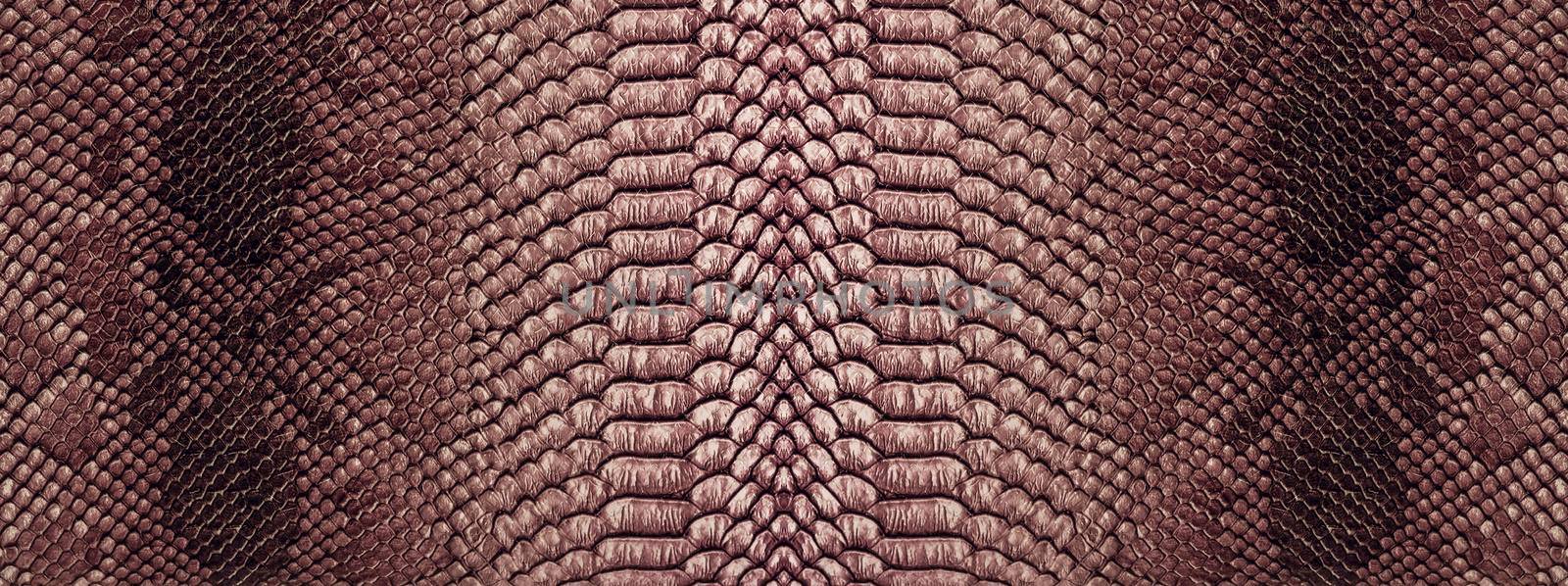 Snake skin background. Close up reptile texture.