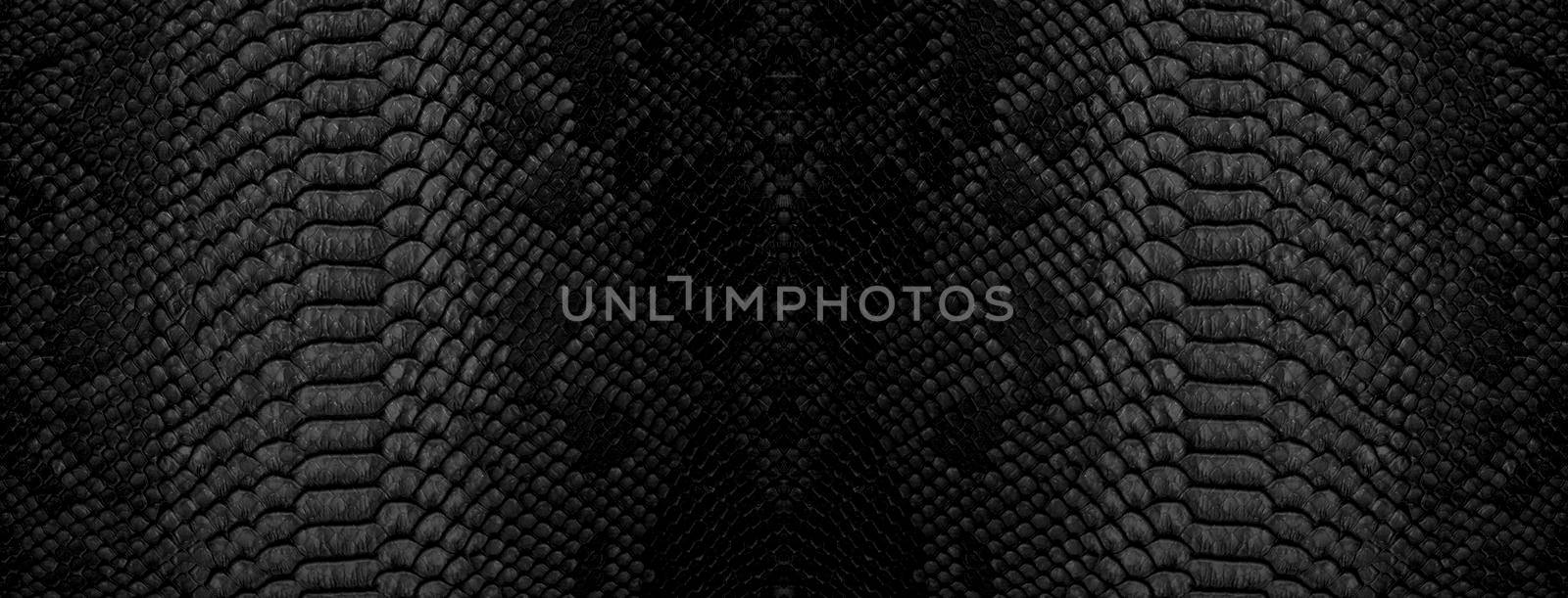 Snake skin background. Close up reptile texture.