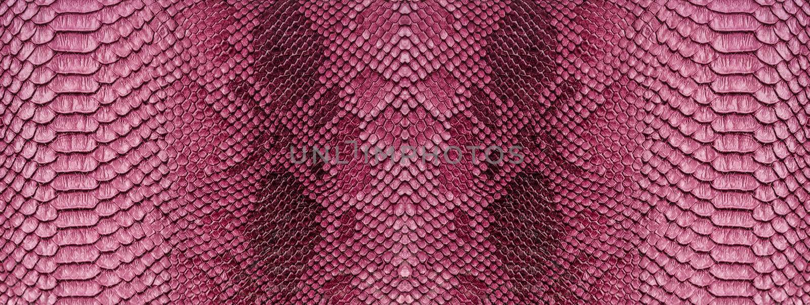 Snake skin background. Close up reptile texture.
