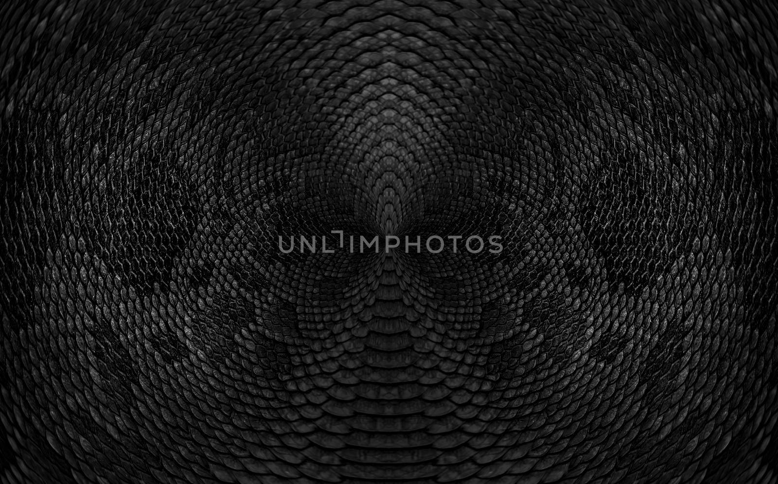 Snake skin background. Close up
