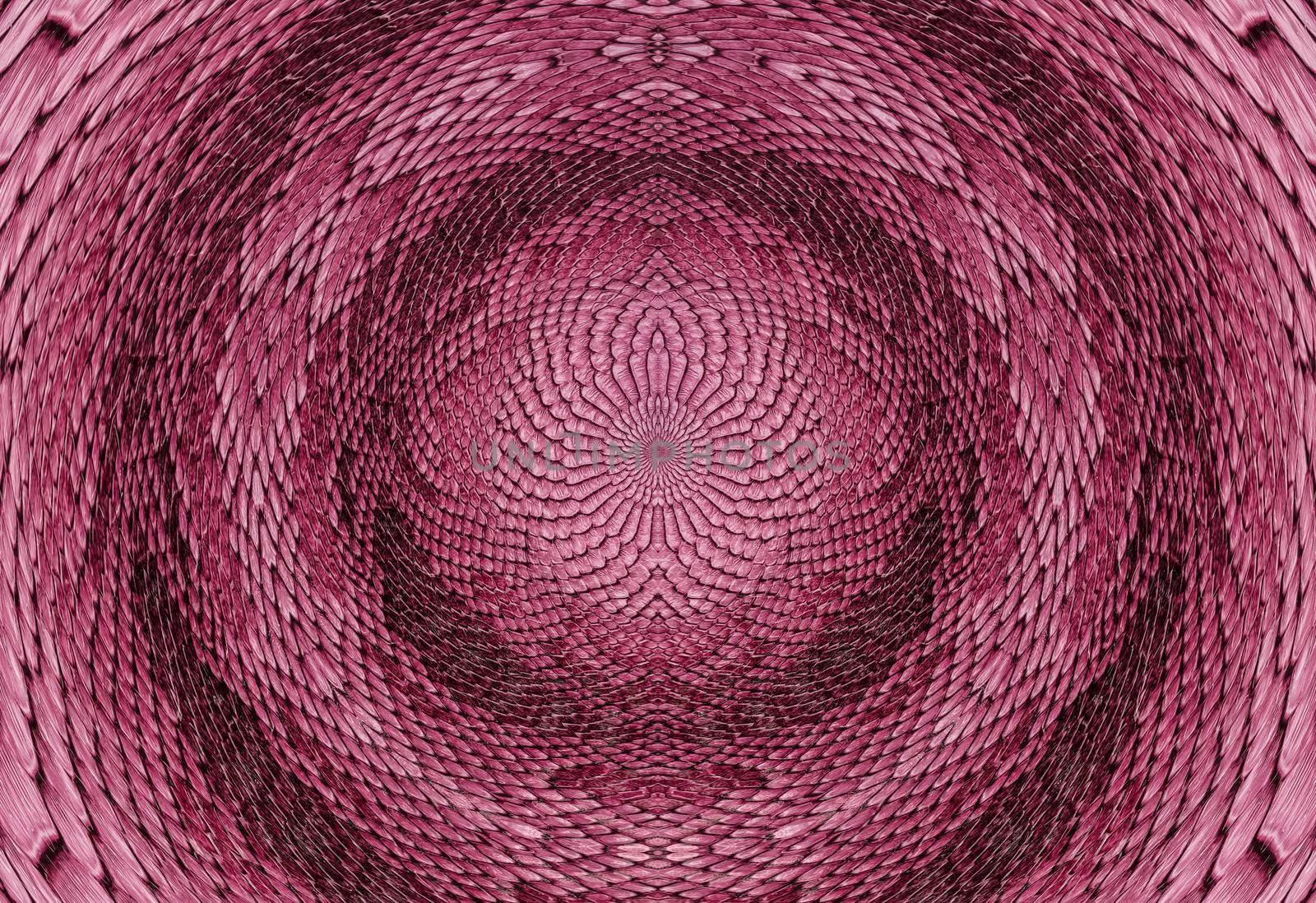 Snake skin background. Close up reptile texture.