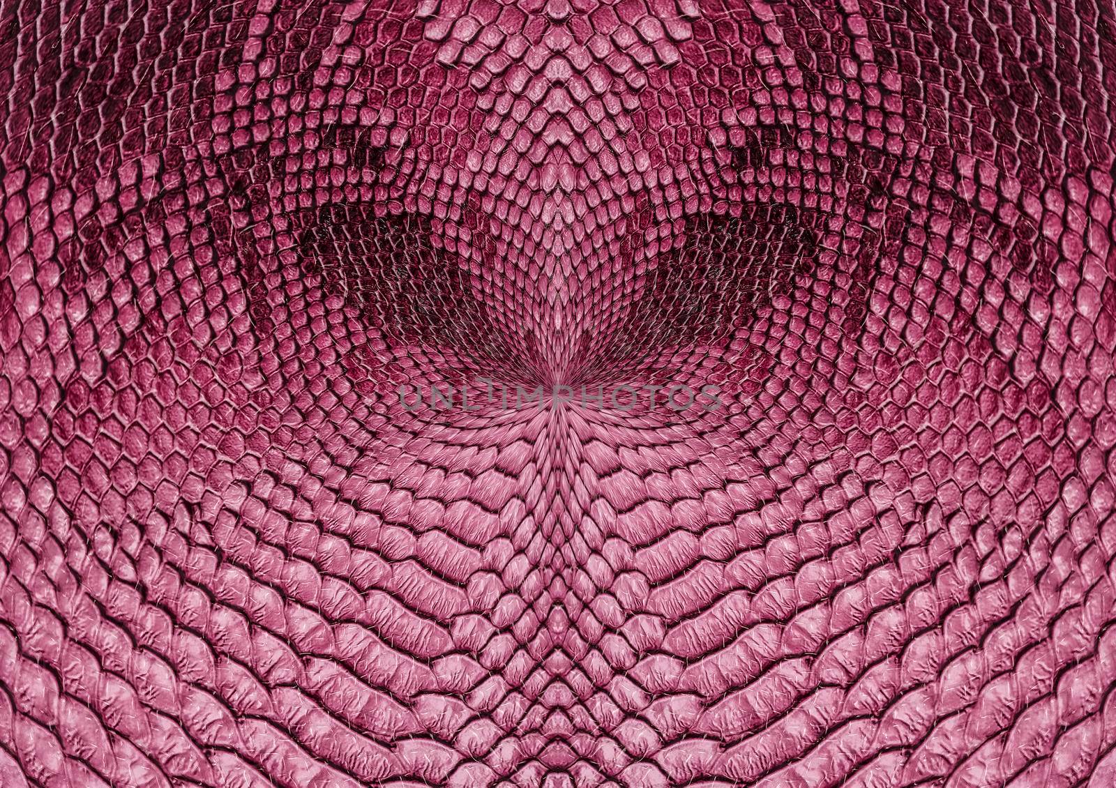 Snake skin background. Close up reptile texture.