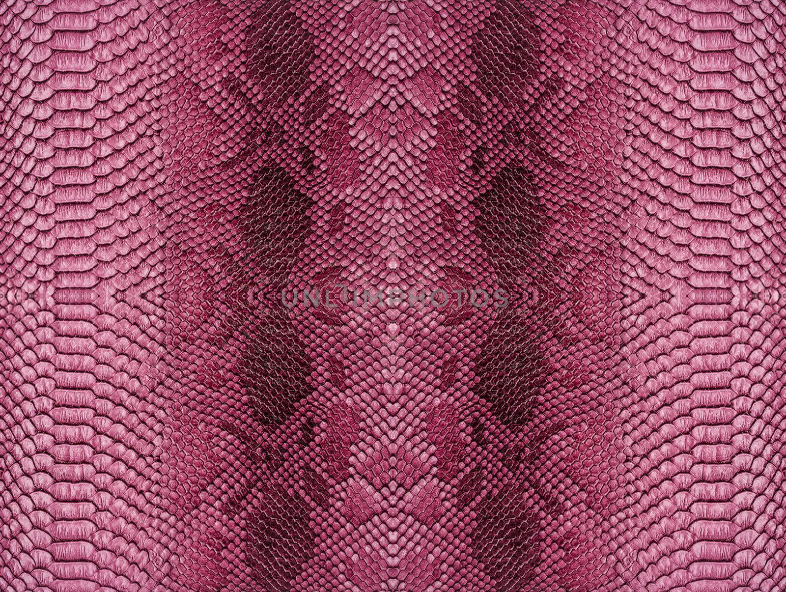 Snake skin background. Close up reptile texture.