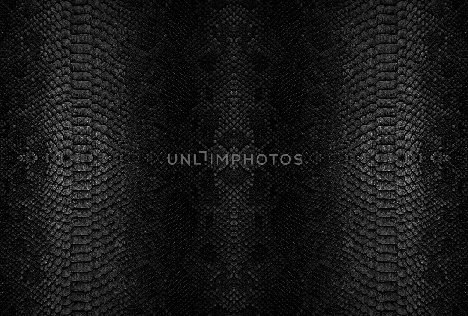 Snake skin background. Close up reptile texture.
