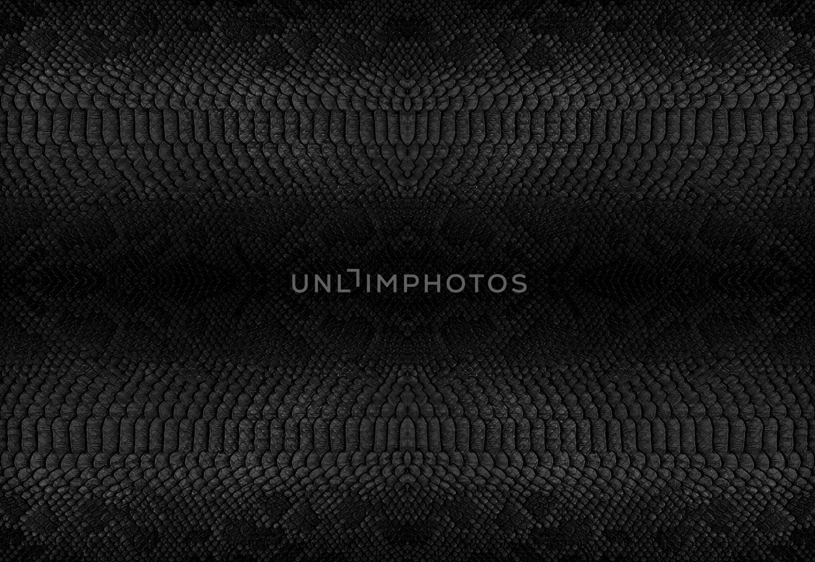 Snake skin background. Close up reptile texture.
