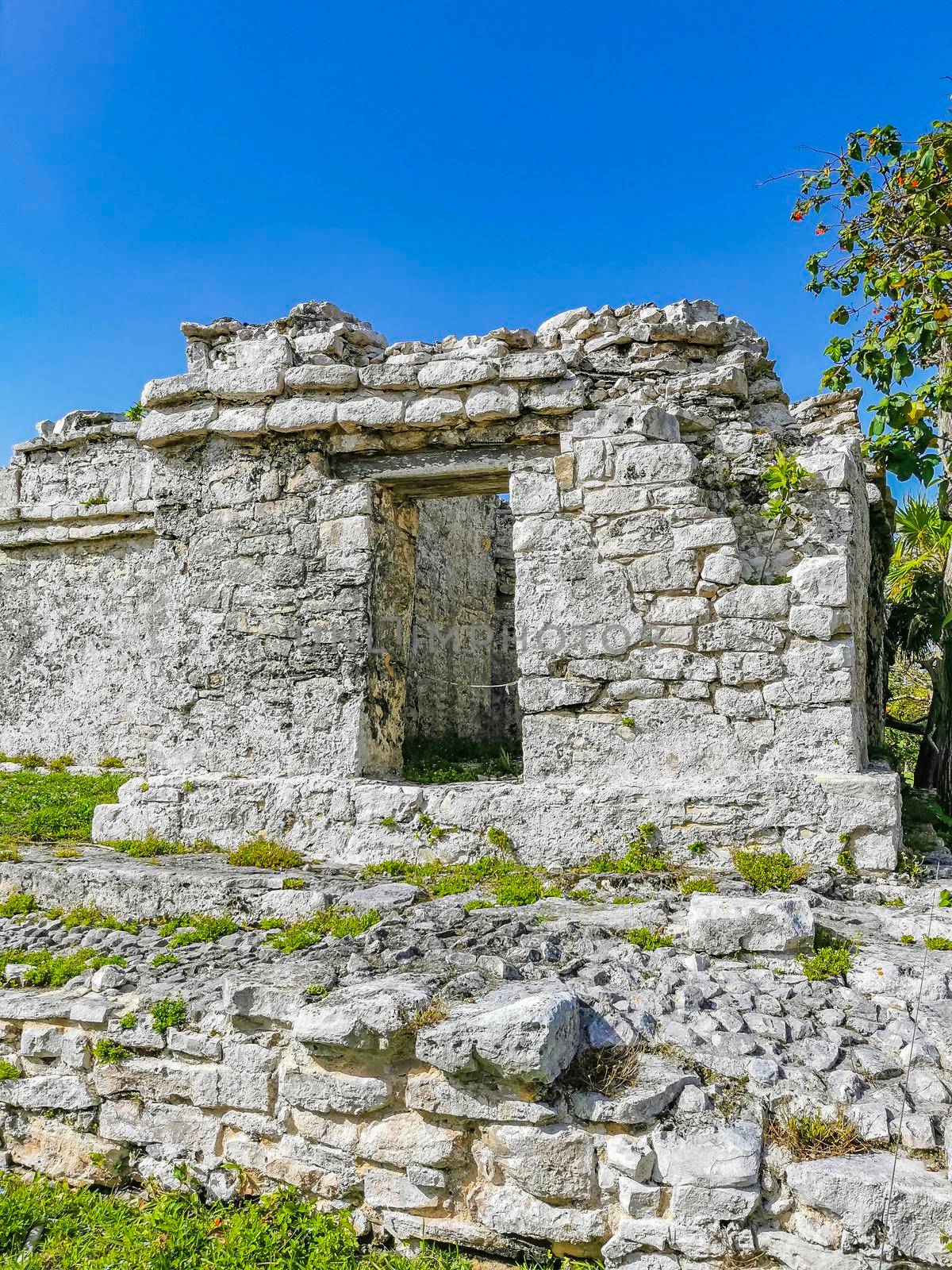 Ancient Tulum ruins Mayan site with temple ruins pyramids and artifacts in the tropical natural jungle forest palm and seascape panorama view in Tulum Mexico.