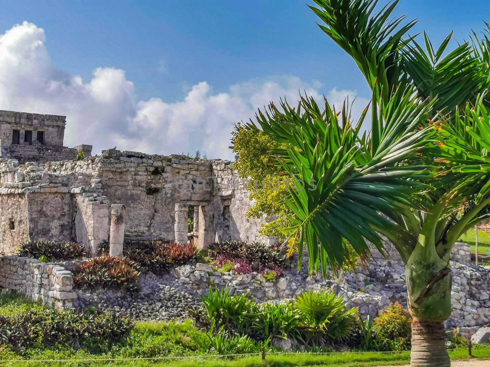 Ancient Tulum ruins Mayan site temple pyramids artifacts seascape ...