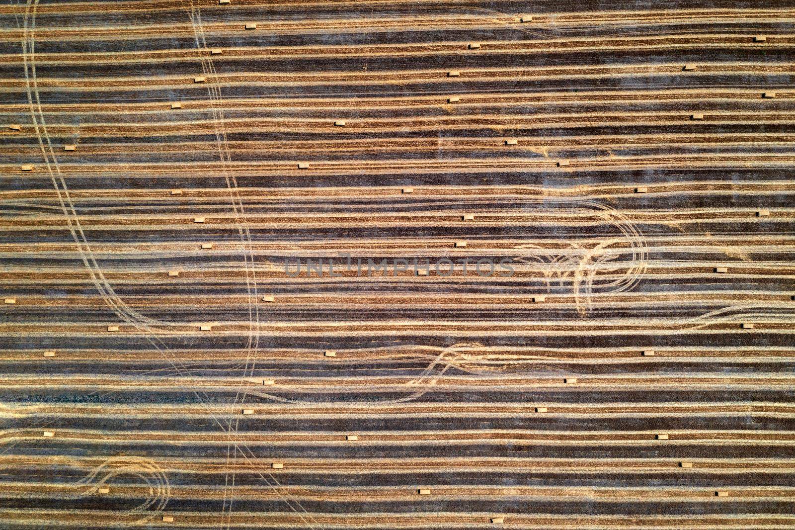 Aerial top view of the mown field with scattered hay bales 