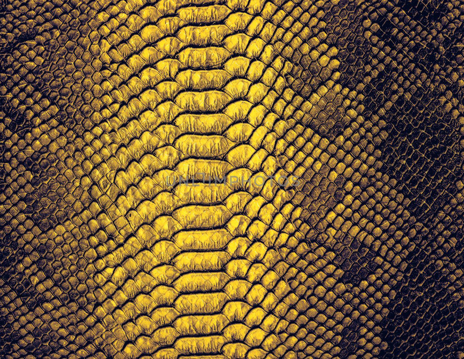 Snake skin background. Close up