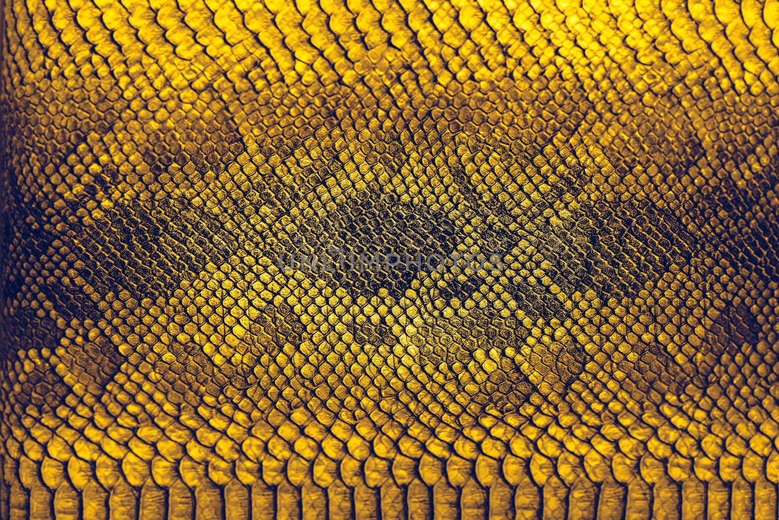 Snake skin background. Close up