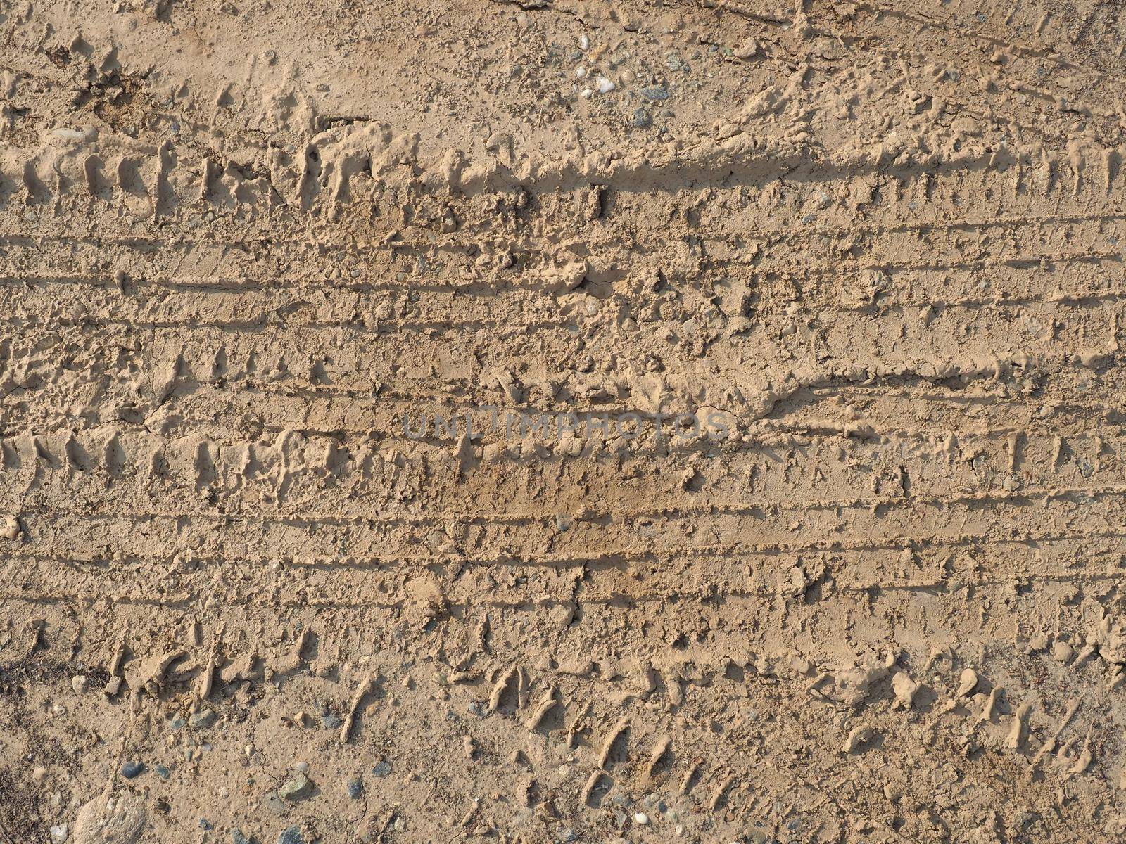 tyre footprint in soil background by claudiodivizia