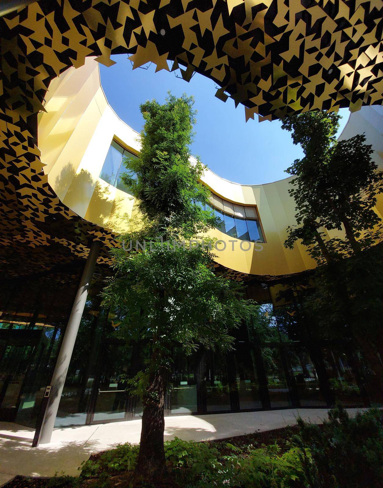 Budapest, Hungary - House of Hungarian music. Detail leafy tree in architecture. by gallofoto