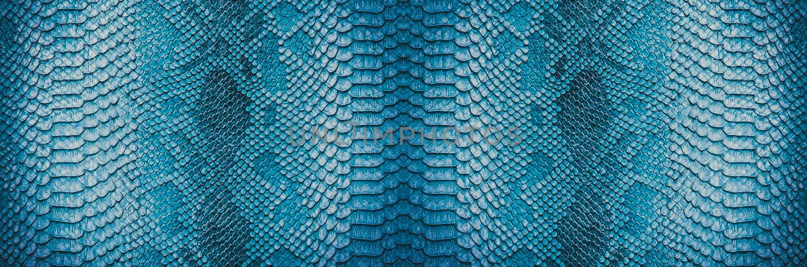 Snake skin background. Close up reptile texture.