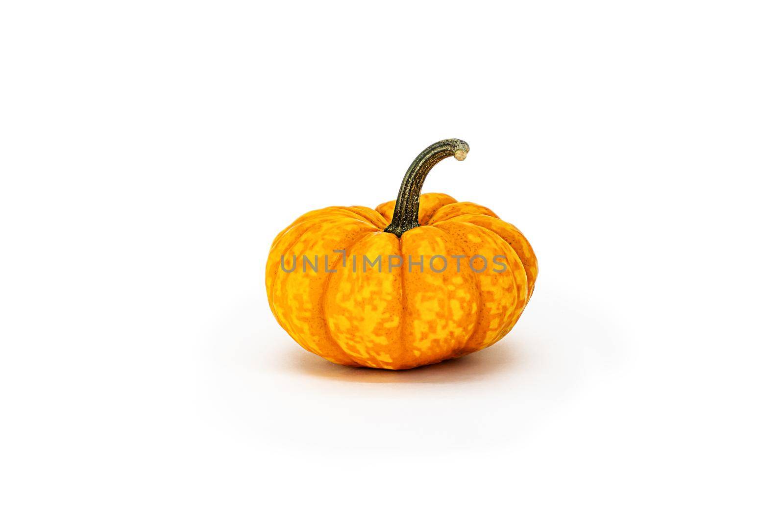 Close-up isolated object. Small decorative orange Muscat pumpkin on a white background. Cut object. Concept for autumn design, restaurant menu, Thanksgiving and Halloween.