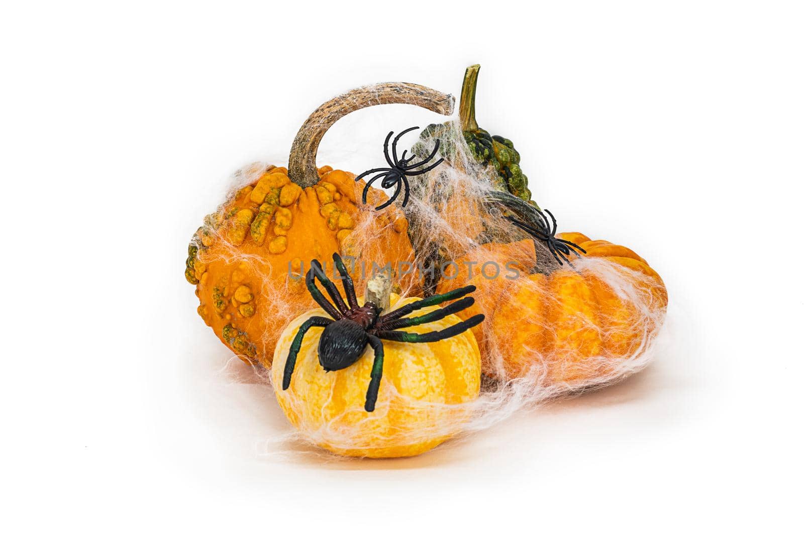 set, a bunch of small decorative pumpkins on a white background. Halloween vegetables are decorated with black spiders and cobwebs. Isolated object easy to cut out for design, poster.