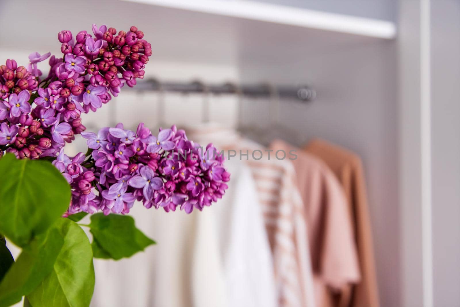 Women's clothes in pink and beige on a white hanger in an open closet. Lilac branch in the foreground.