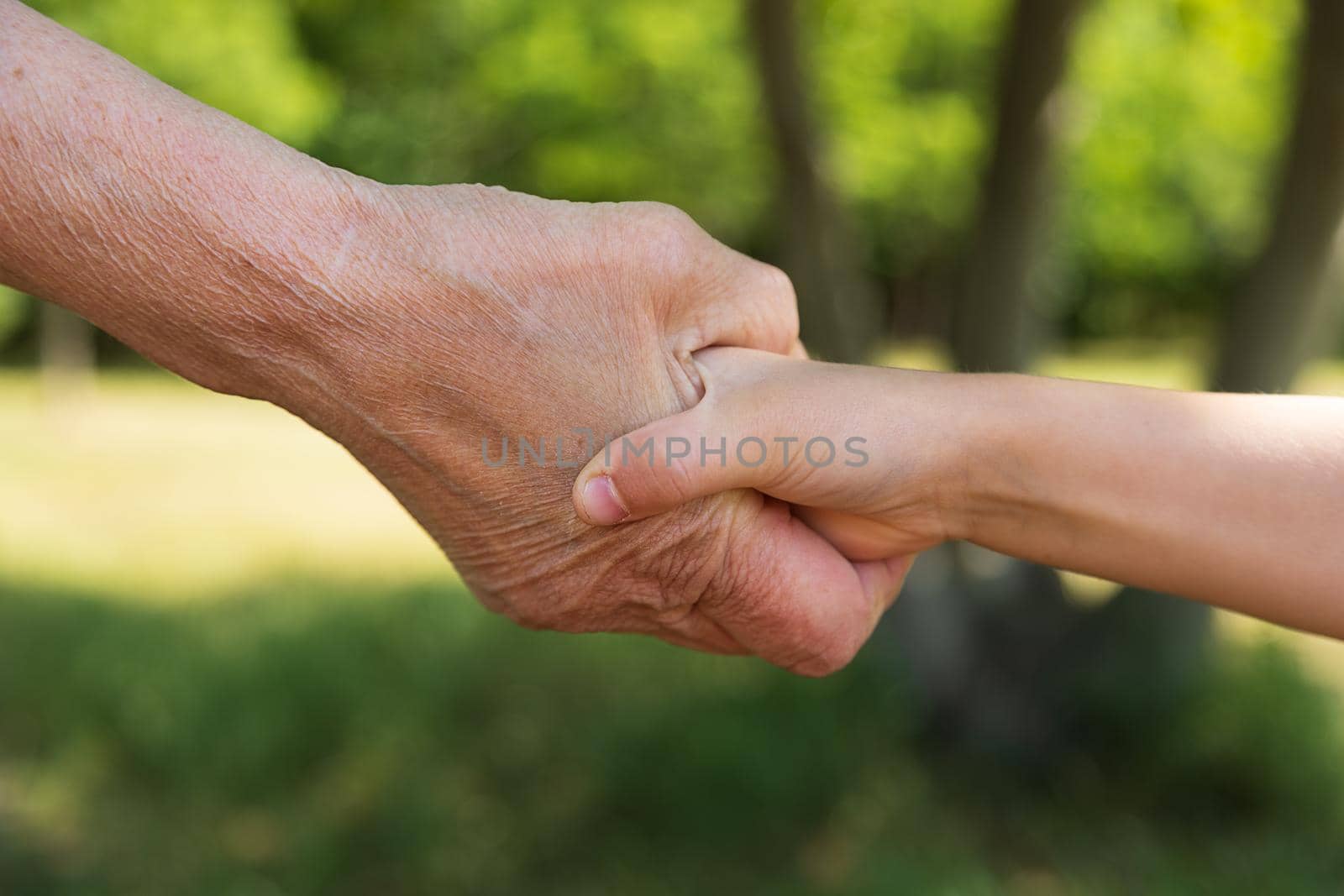 grandmother holding the hand of a child girl on a summer sunny day, Close-up by Ramanouskaya