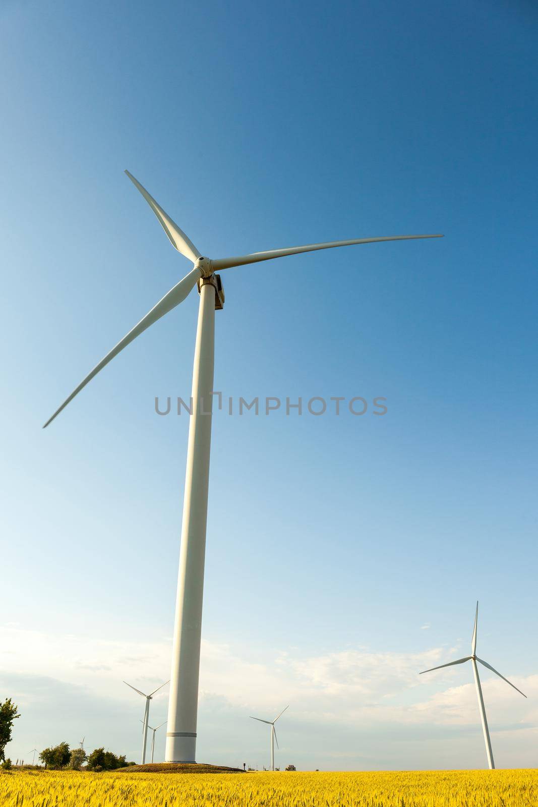 Turbine Green Energy Electricity Technology Concept. Landsape with Windmills on wheat field and blue sky
