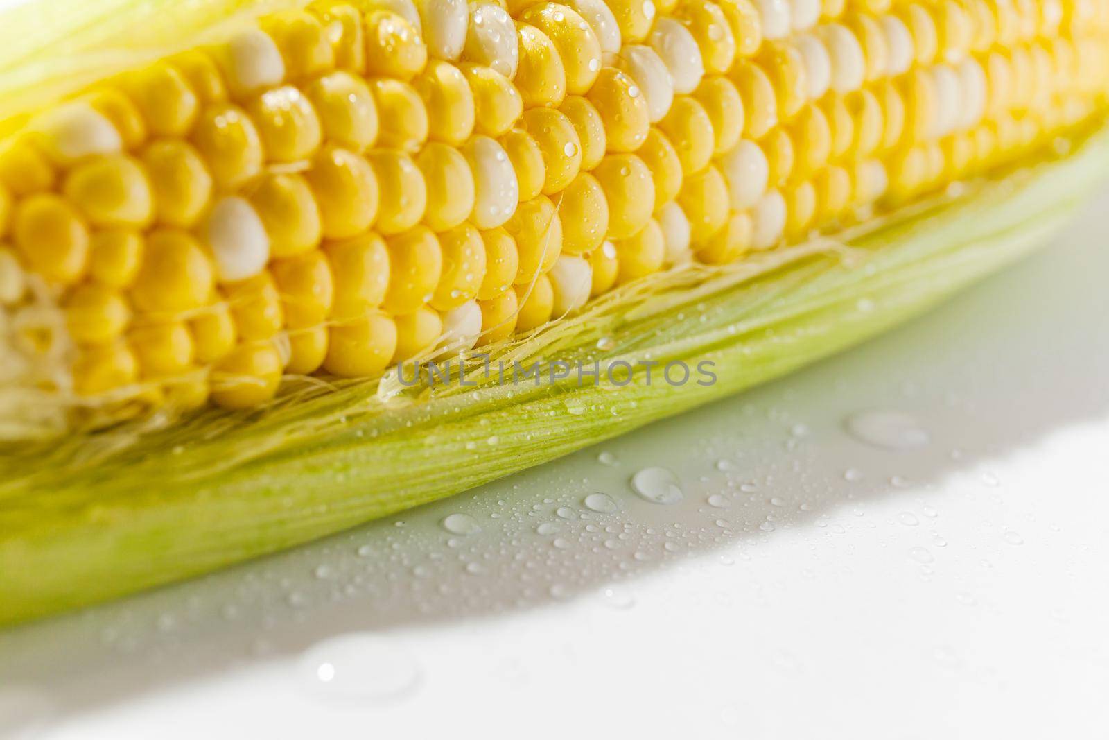 Yellow sweet Corn Cob with leaves Closeup wet with drops of water