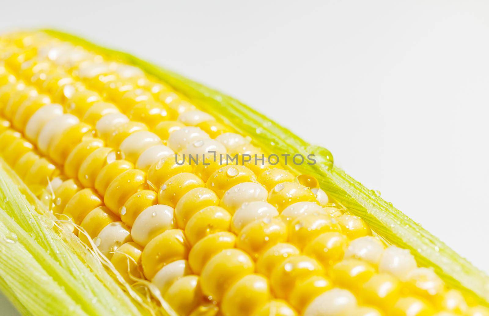 Yellow sweet Corn Cob with leaves Closeup wet by InnaVlasova