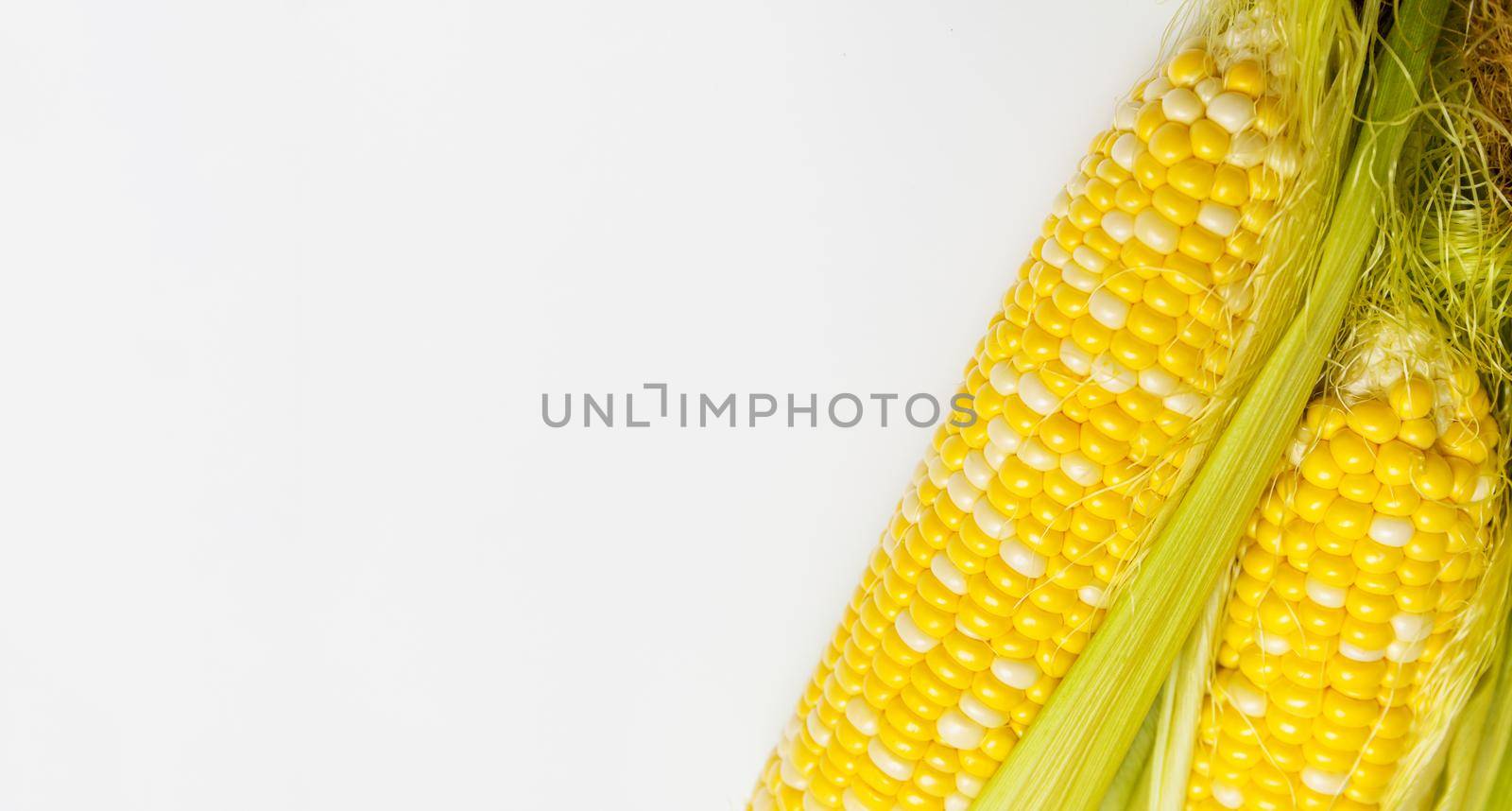 Grains of Ripe Corn with Water Droplets. Extreme Macro. Isolated with copy space for text by InnaVlasova