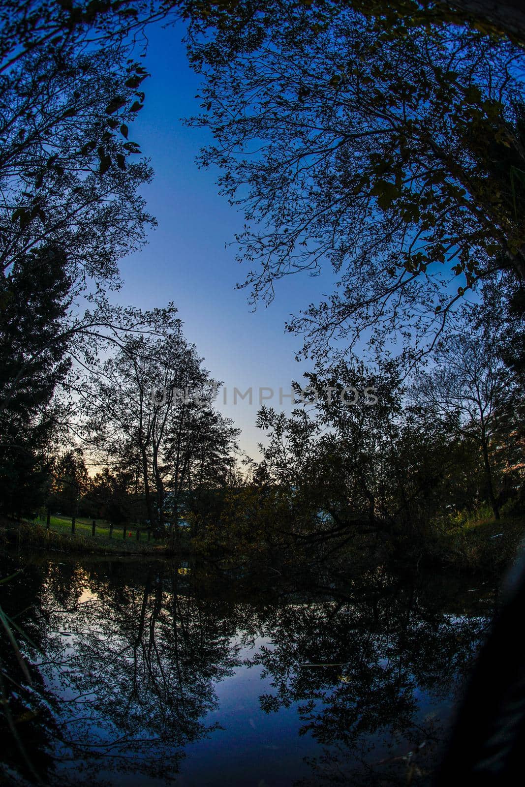Silhouette of evening scenery and forest (Sendai / Glacial forest). Shooting Location: Sendai, Miyagi Prefecture