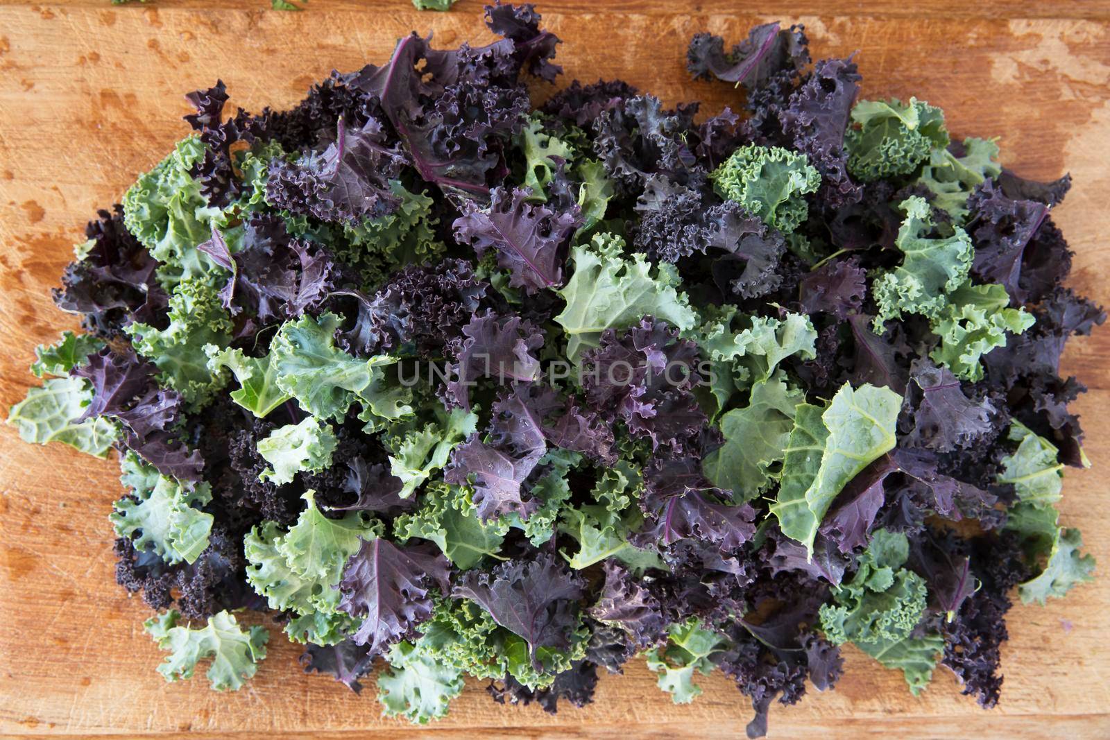 Pieces of green and purple curly kale on wooden cutting board.