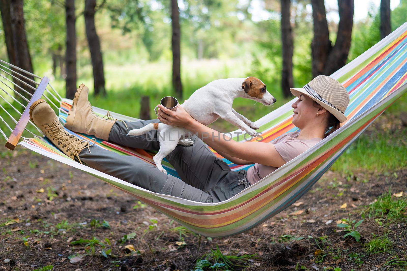 Caucasian woman lies in a hammock with Jack Russell Terrier dog in a pine forest.