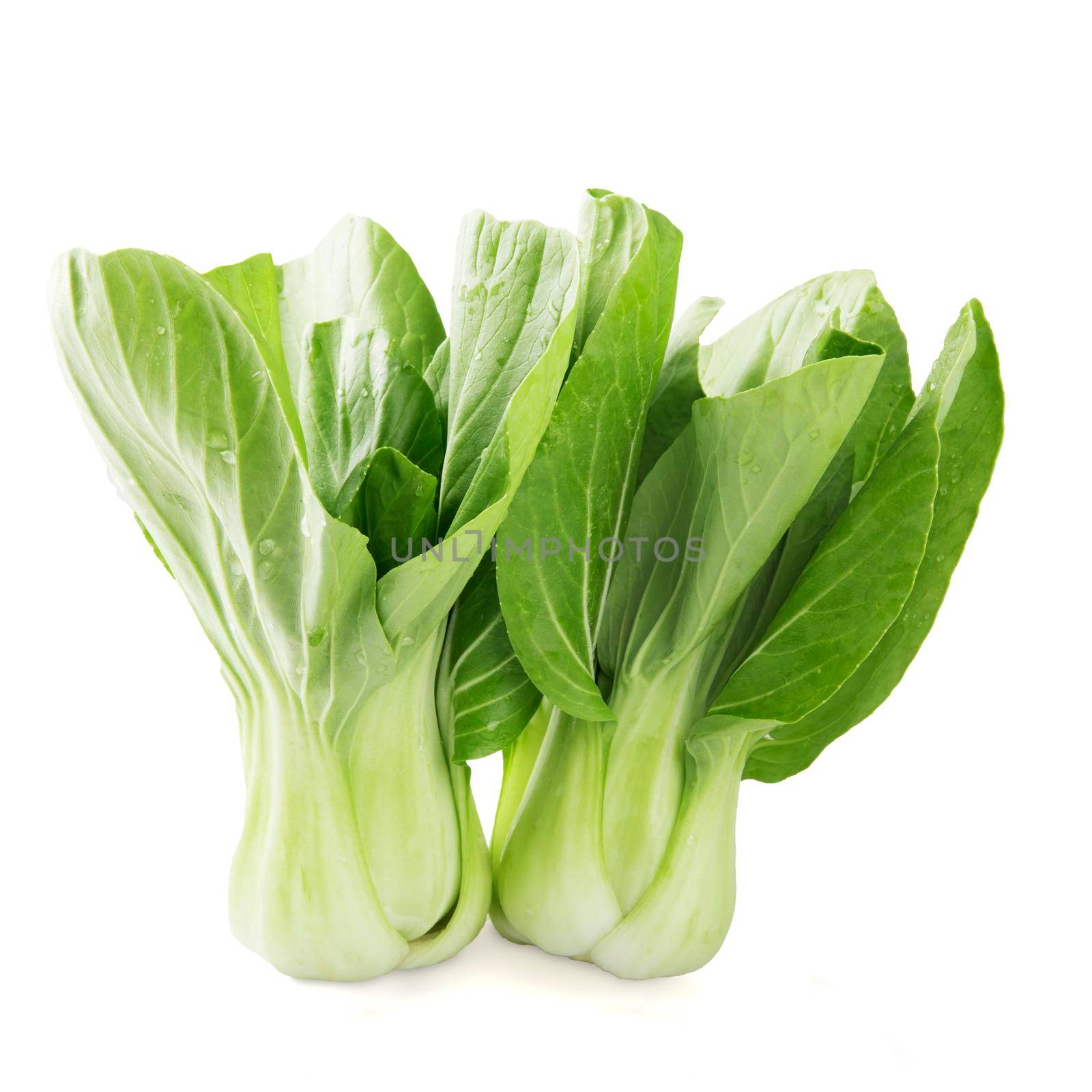 Two bok choy isolated on a white background.